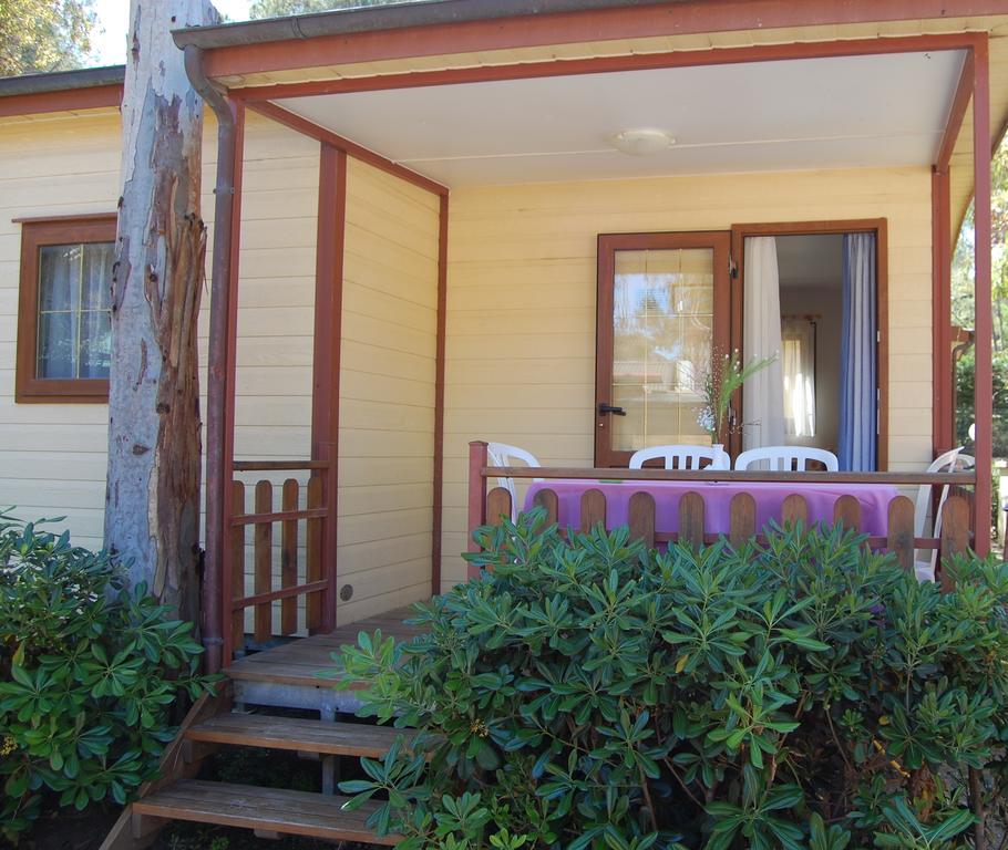 Mobile Home,399112878:JPEG