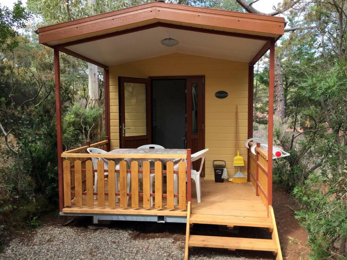 Mobile Home (3+1 Adults),790683957:JPEG